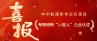 喜报！金年会|金年会·jinnian(金字招牌)诚信至上新丰公司荣获专精特新 “小巨人” 企业认证！